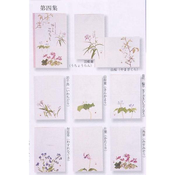 外山康雄 画 折々の花たちはがきセット 第四集（春）30-527 : 堀萬昭堂