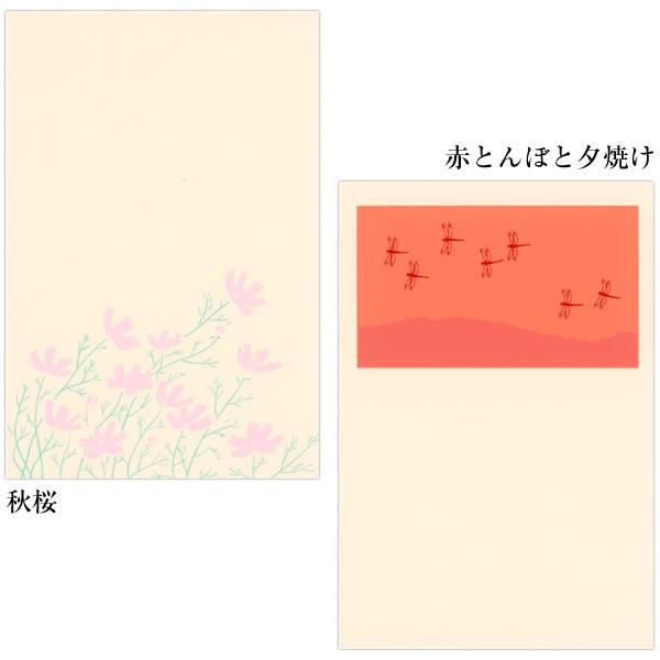 鳩居堂 秋のハガキ 13枚セット Kyu 39 秋桜 赤とんぼ 月 ハロウィン 紫式部 秋海棠 りんどう 紫苑 すすき シルクスクリーン印刷 きゅうきょどう ポ Buyee Buyee Japanese Proxy Service Buy From Japan Bot Online
