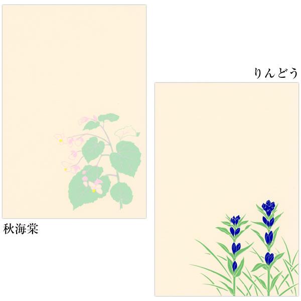 鳩居堂 秋のハガキ 13枚セット Kyu 39 秋桜 赤とんぼ 月 ハロウィン 紫式部 秋海棠 りんどう 紫苑 すすき シルクスクリーン印刷 きゅうきょどう ポ Buyee Buyee Japanese Proxy Service Buy From Japan Bot Online