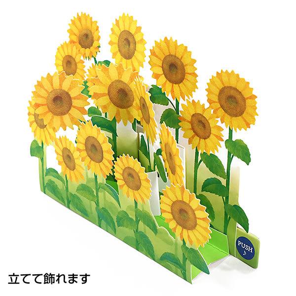 グリーティングカード 多目的 夏カード メロディカード ヒマワリ畑 S4264 電池交換可能 サンリオ 立体カード 音楽付 ポップアップ 飛び出す 多用途 サマ S4264 堀萬昭堂 ヤフー店 通販 Yahoo ショッピング