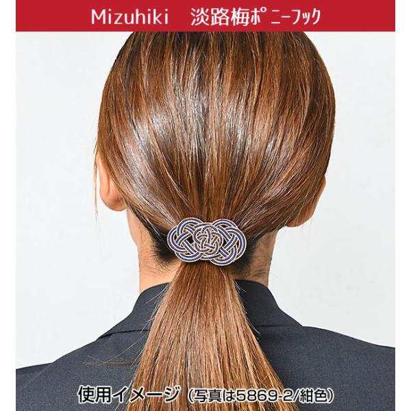 水引 Mizuhiki 淡路梅ポニーフック 臙脂色 5869-1 化粧箱入り 天一堂