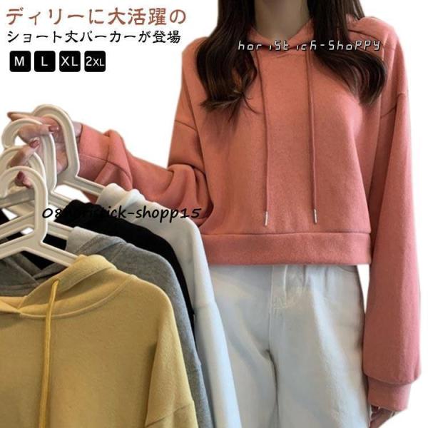 ショート丈 パーカー レディース ショート丈パーカー フード付き 