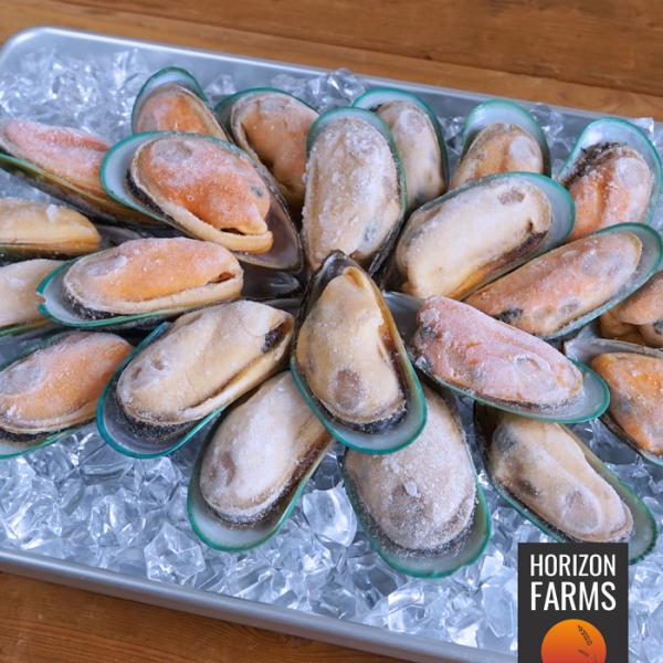 オーガニック 冷凍 ムール貝 ニュージーランド産 1kg 殻付き パーナ貝