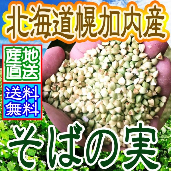 ΂̎̎ӂ聟^[pbNőy14x܂zyY@y۔2kgz@y