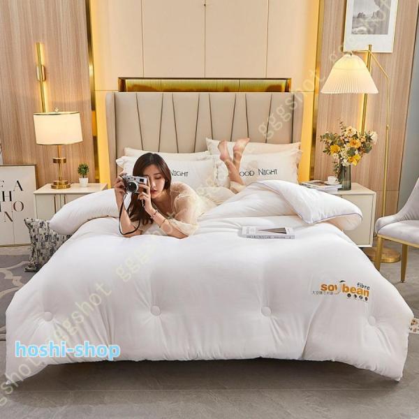 肌掛け布団 夏冬兼用 一年中使える布団 シングル 冬掛け布団 オール