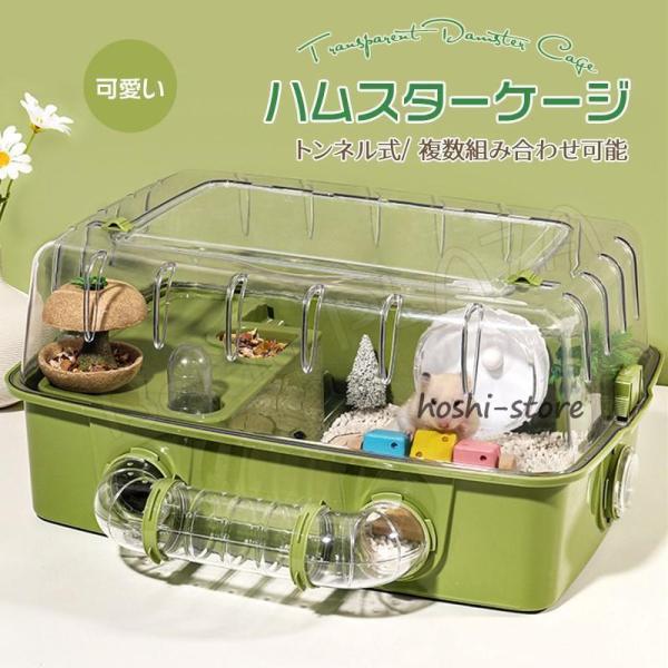 hoshi-shop_cc240301-wwwdf21