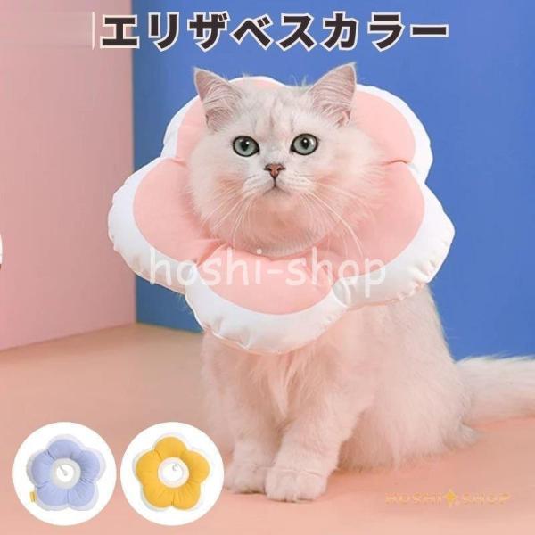 Vo\tgyʃ^Cv h[icGUxXJ[ i lR Lp pȎyʏp㏝ی쏝rߖh~ ~h~wXPApEFA