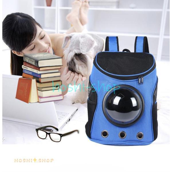 ybg L[ P[X  L[P[X L L[obO P[W bNL[ XNGA  ybgpi 5F 253135cm