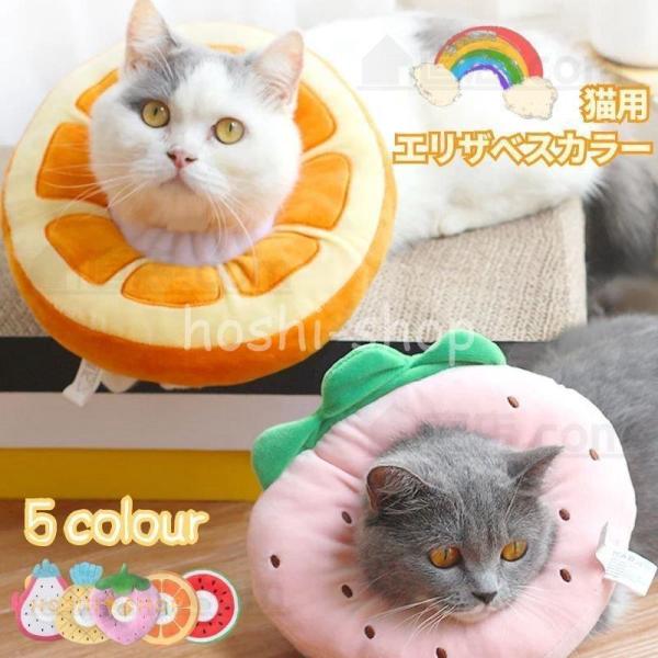 Vo\tgyʃ^Cv h[icGUxXJ[ i lR Lp pȎyʏp㏝ی쏝rߖh~ ~h~wXPApEFA