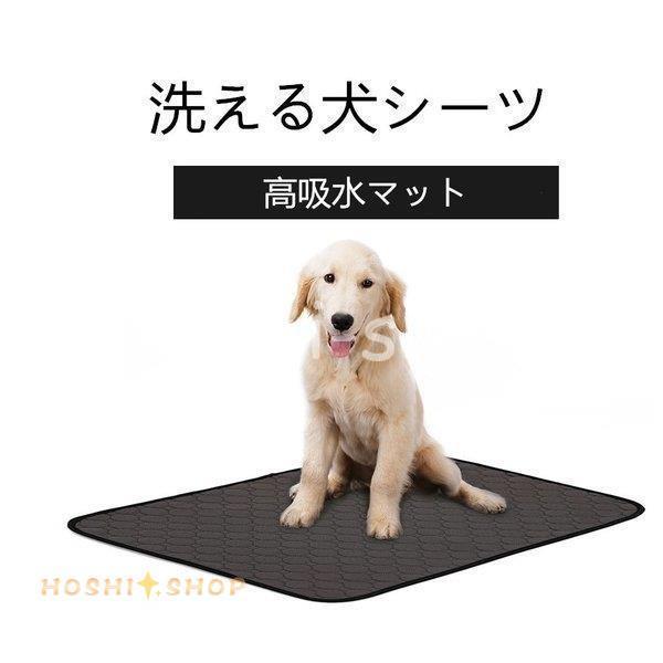 p g[jOpbh ybgV[c 􂦂 gC~}bg  􂦂 Iׂ RTCYQJ[ (STCYAlTCYj