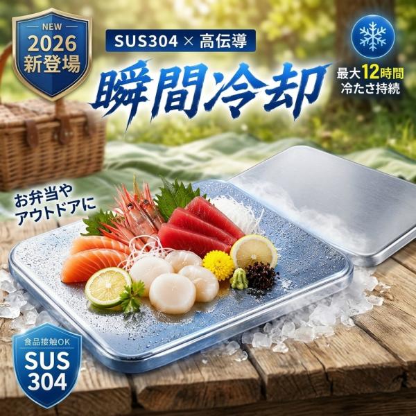 【食品に直接置ける】 ステンレス保冷剤 プレート型 薄型 アイスパック 瞬間冷却 長時間保冷 12時間 高伝導 繰り返し使える クーラーボックス 弁