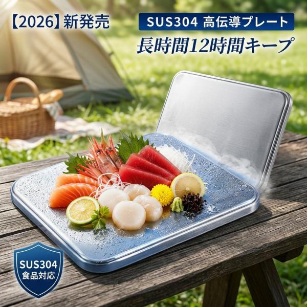【新感覚ステンレス】 保冷剤 プレート アイスパック 薄型 軽量 長時間冷却 瞬間保冷 12時間持続 食品接触OK 繰り返し使える クーラーボックス ラ