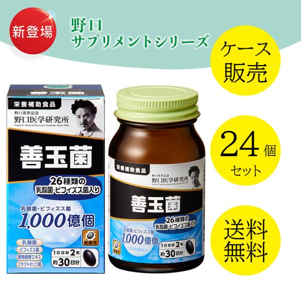 野口医学研究所 イチョウ葉＆DHA・EPA 60粒 ×５個セット ※軽減税率対象