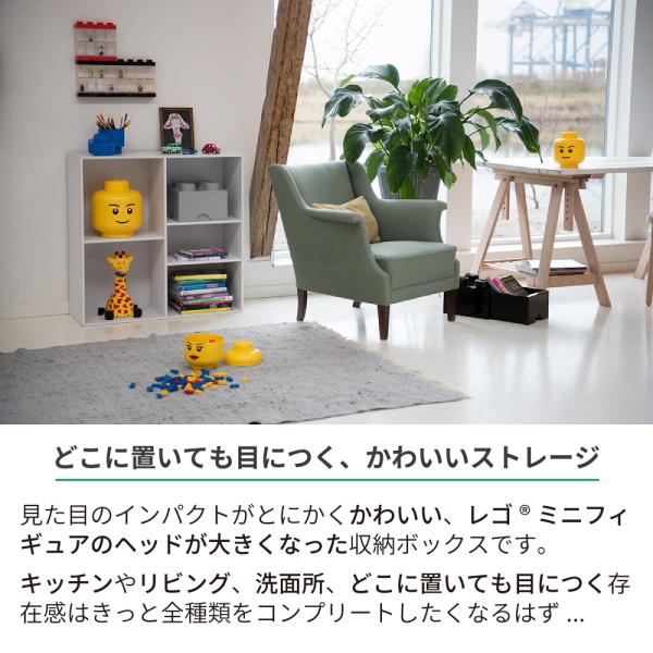 hoshinostorepro_4031_2_d_20230130173845