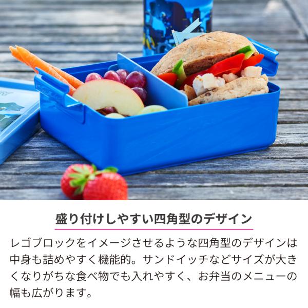 hoshinostorepro_4052_2_d_20241028184515