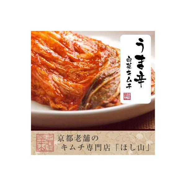 ysقRzܐh؃L` 500g Lܓ