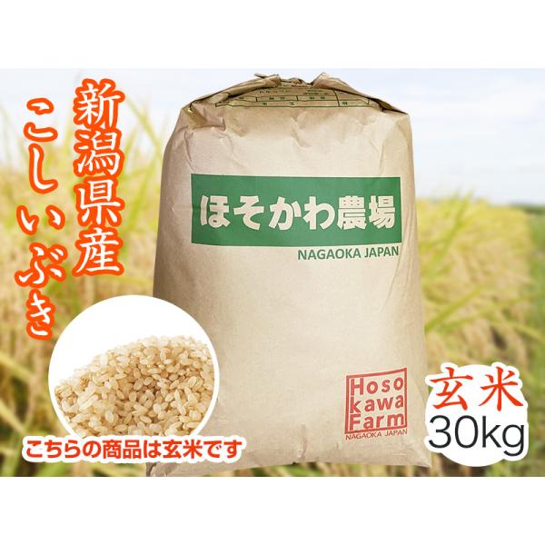 お米 ごはん 玄米 30kg 30キロ 新潟県産 こしいぶき コシイブキ 令和８年産 新米