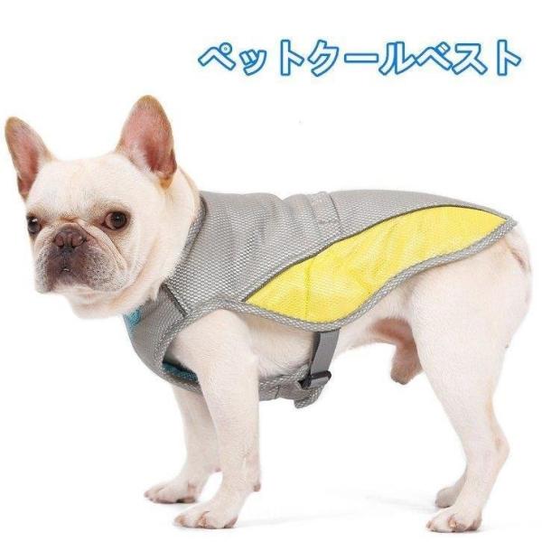 犬 冷却グッズ 散歩 みんな探してる人気モノ 犬 冷却グッズ 散歩 ペット ペットグッズ