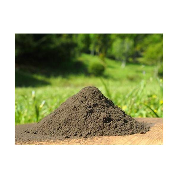 バクチャー2袋 Nhahatcheovietnam Vn