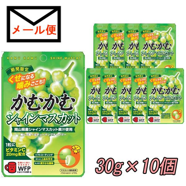 ソフトコーティングはマスカットのフレッシュさを感じられます。上品な甘みと爽やかな酸味を感じられるシャインマスカット味に仕上げました。