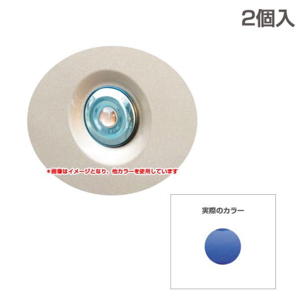 ハセプロ ぺインターシート キーシリンダーガード オーテック