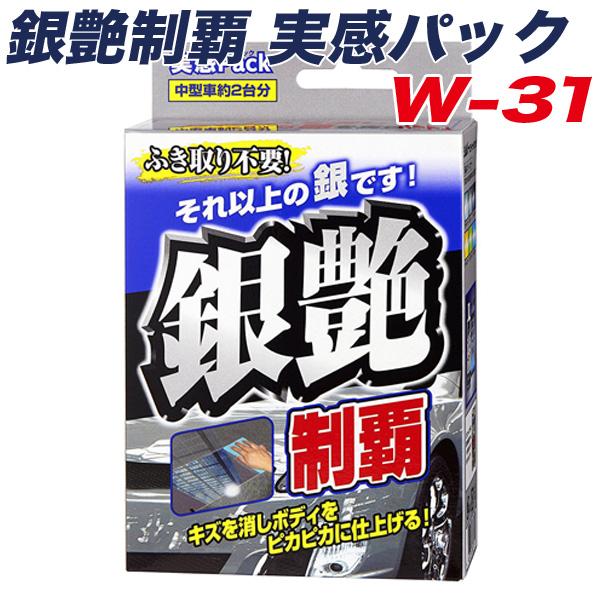 リンレイ 銀艶制覇 実感パック ボディコーティング剤 撥水効果6ヶ月 中型車約2台分 樹脂・メッキパーツなどに 80ml W-31