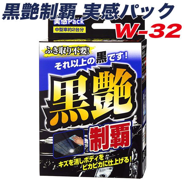 黒艶制覇 実感パック ボディコーティング剤 撥水効果6ヶ月 中型車約2台
