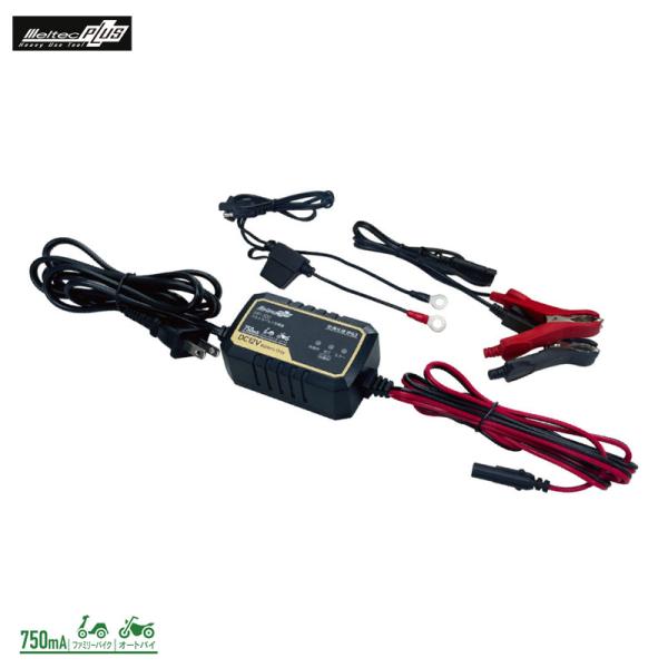 パルス充電器 41bzmuA1oXL.jpg