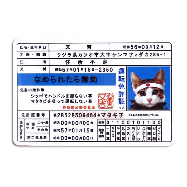 ⭐️希少品⭐️なめ猫免状等 なめ猫 なめねこ ステッカー 車 リアガラス リヤガラス バンパー