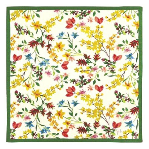 Vr  C~  70cm  t[XEVxXgX  ؕ { ӂ낵 2024N MtgDKi