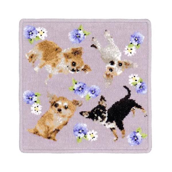 cococi wanko チワワ シェニール織 タオルハンカチ犬 2025 秋 誕生日