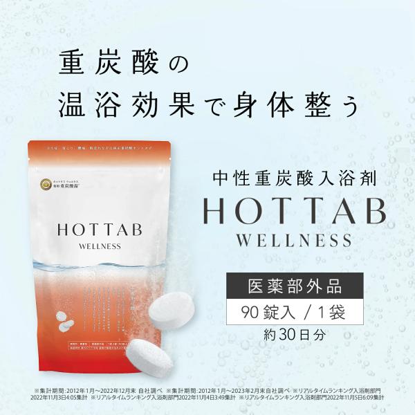 【公式】ホットタブ 薬用 HOT TAB ウェルネス 重炭酸湯 中性 重炭酸入浴剤 90錠 [医薬部外品]