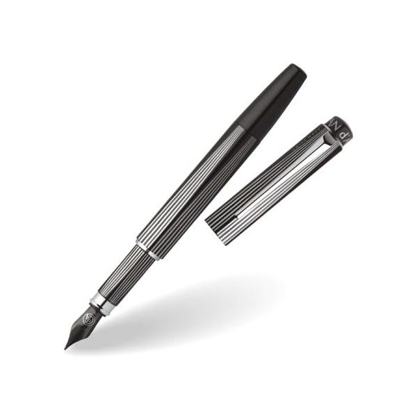 CARAN　D'ACHE(カランダッシュ)RNX.316　PVDブラック　万年筆 CARAN d'ACHE CARAN D'ACHE(カランダッシュ) RNX.316 PVD