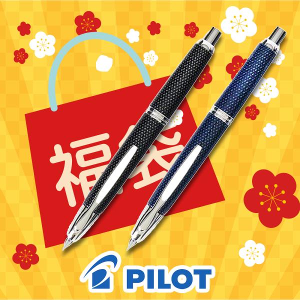 2025年福袋 パイロット Pilot 万年筆 キャップレス 絣 かすり 2025年福袋 パイロット Pilot 万年筆 キャップレス 絣 かすり
