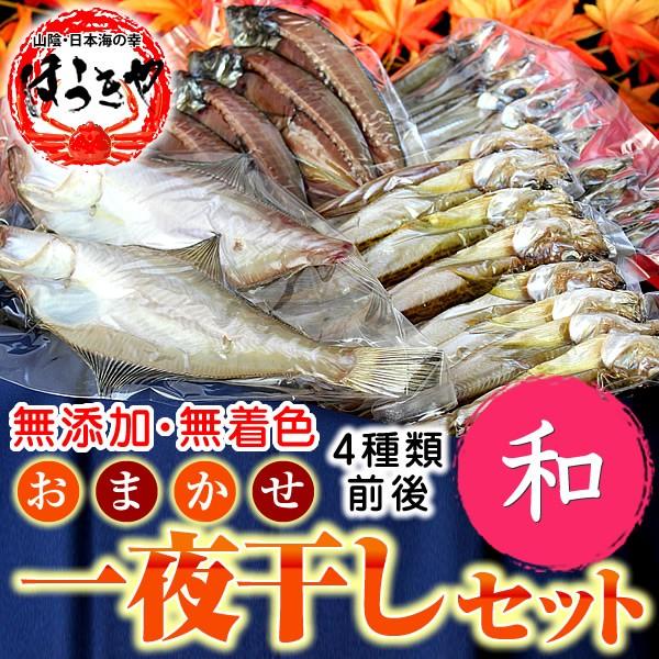 送料無料 境港産 おまかせ干物セット 一夜干し 和 ギフト ひもの 母の日 父の日 御中元 Himono Omakase1 山陰日本海の幸 ほうきや 通販 Yahoo ショッピング