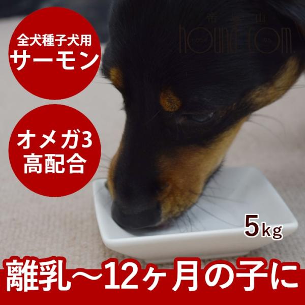 最短賞味2019.8.24・アートゥー 85% サーモン 用ドライ