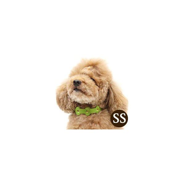   ASHUpXe{[J[ SSTCY  L  ^TCY ^TCY