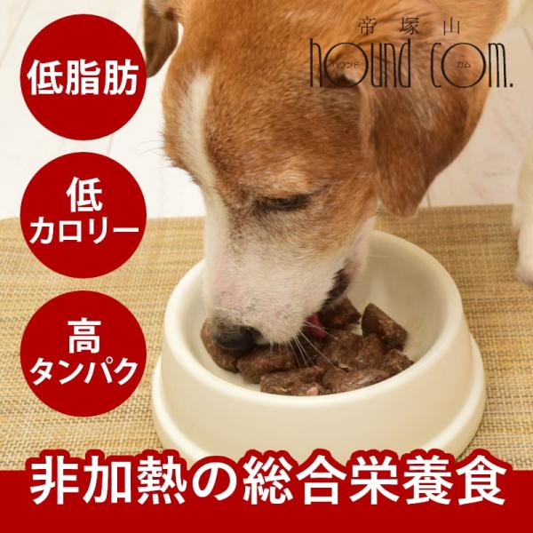生食 ビッグドッグ リトルバイツ カンガルー 冷凍生食小粒