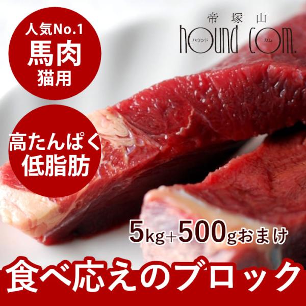 帝塚山ハウンドカム 猫用 生肉 冷凍 馬肉 ブロック 5kg 500g