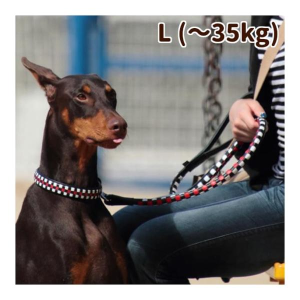 houndcom_cy-000060