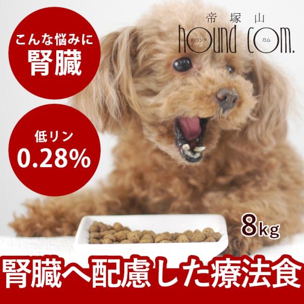 FORZA10 犬 ドッグフード 療法食 腎不全 腎臓ケア 腎臓療法食 犬