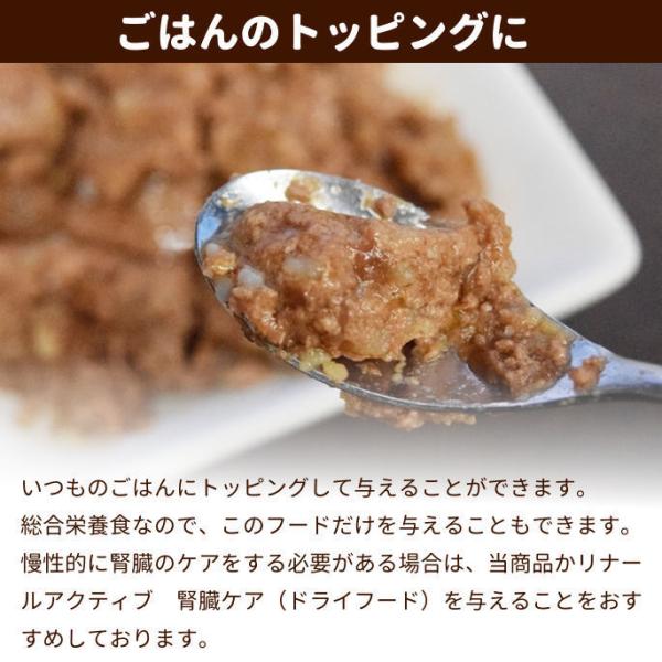 Forza10 リナール 猫腎臓ケア アクティウェット 100g キャットフード Buyee Buyee 日本の通販商品 オークションの代理入札 代理購入