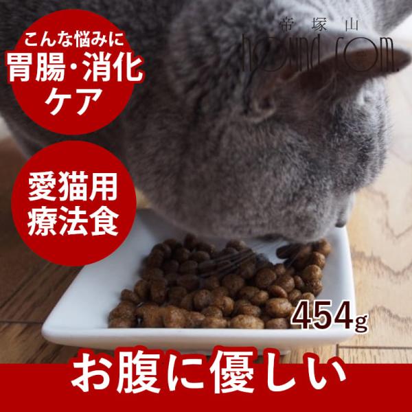 FORZA10（フォルツァディエチ） FORZA10療法食｜インテスティナル