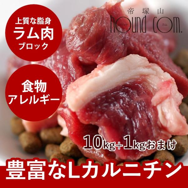 犬 生肉 新鮮 ラム肉 3kg ブロック 手作り食