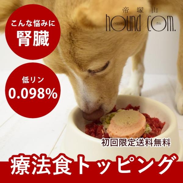 【初回限定送料無料】犬 冷凍 ドッグフード 低リンで腎臓に優しい7食Aセット 手作り ごはん 低リン 腎臓 ご飯 トッピング ウェットフード