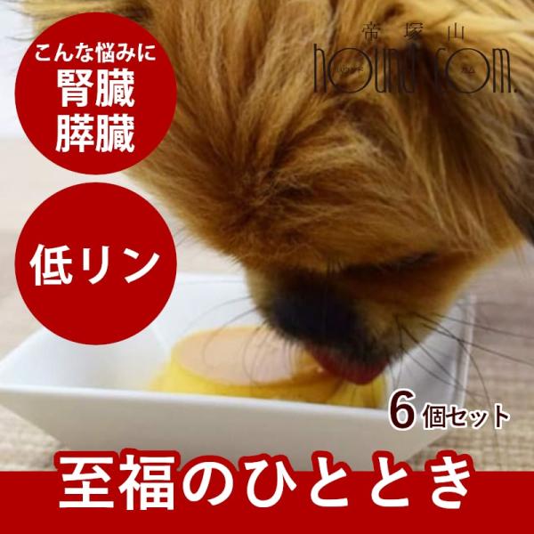 犬 おやつ 低脂肪 犬用スイーツ ドッグフード 誕生日 ご褒美 食いつき抜群 柔らかい 食堂の手作りプリン 6個セット ハウンドカム食堂