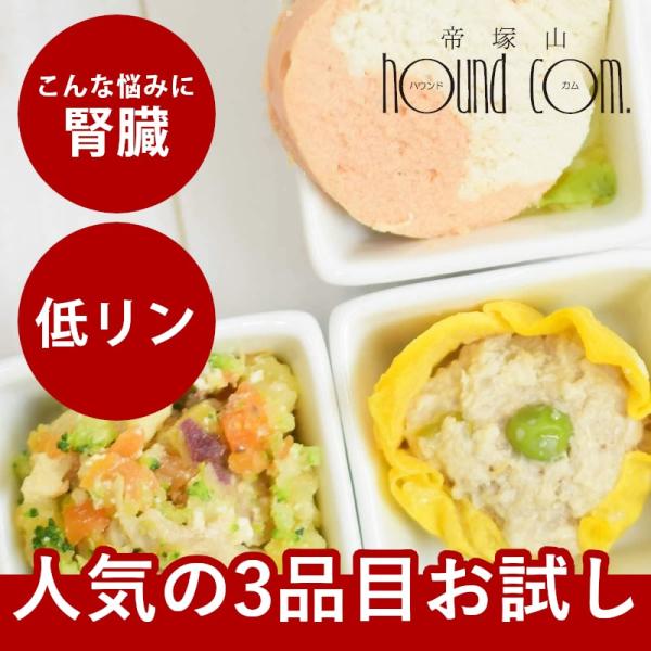 お一人様1回限り 愛犬愛猫用 ハウンドカム食堂 人気の3品目お試しセット 冷凍便
