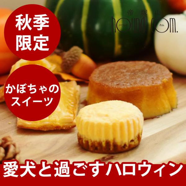 秋季限定 愛犬用 ハロウィンを楽しむパンプキンスイーツセット  冷凍便
