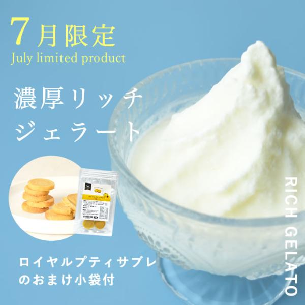 【7月限定】おまけ付！犬 アイス 濃厚ヨーグルト リッチジェラート2種6個セット【ハウンドカム食堂】
