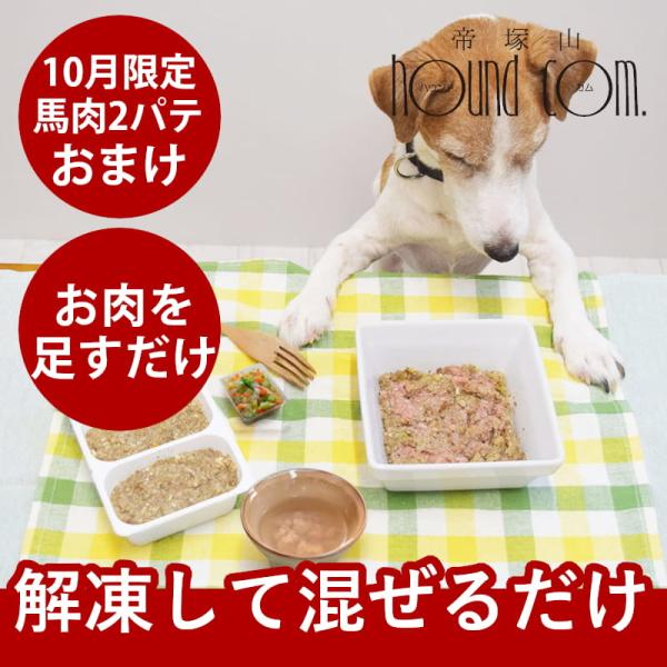【10月限定】おまけ付き！愛犬用 お肉を足すだけ手作りセット【ハウンドカム食堂】